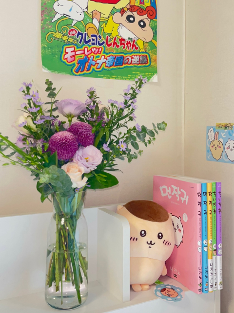 꽃, 폼폰국화, 만화책, 먼작귀