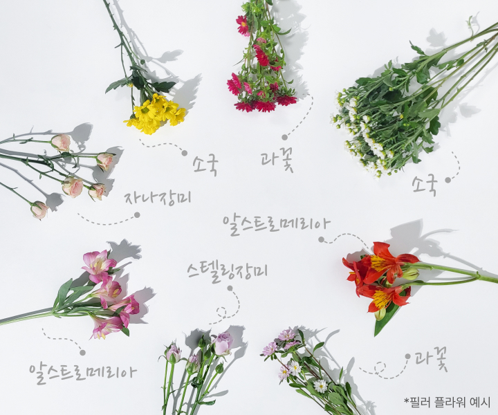 소국, 자나장미, 알스트로메리아, 스텔링장미, 과꽃, 필러 플라워,꽃바구니 소재