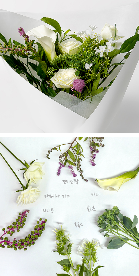 카라, 꼬리조팝, 불로초, 후록스, 자리공, 마르시아 장미, 화이트꽃다발