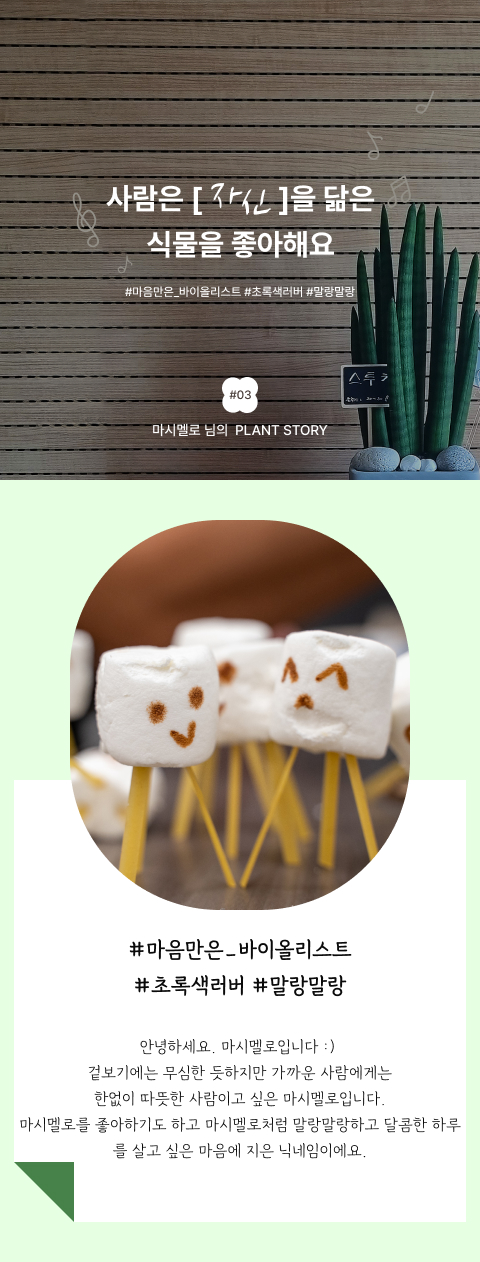 스투키,꽃집청년들, 마시멜로