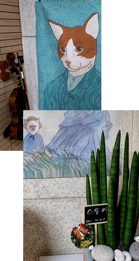 바이올린, 고양이, 스투키