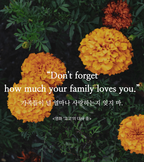 코코명언,코코대사,코코꽃,메리골드