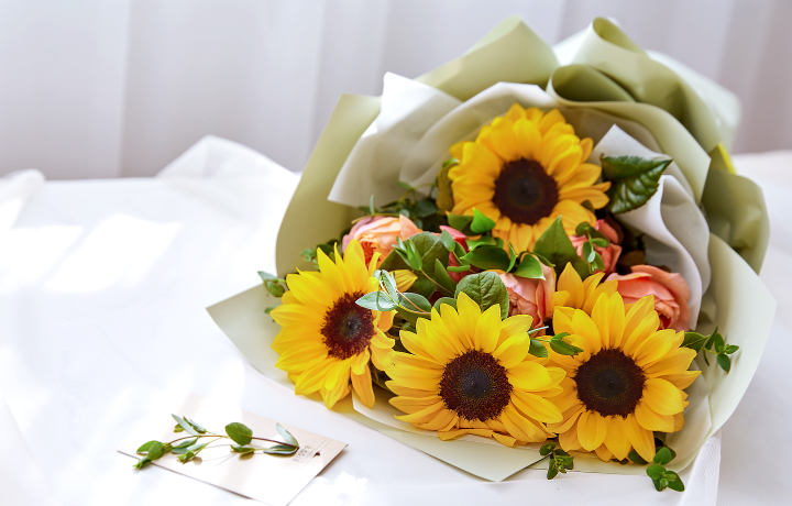 꽃집청년들의 고흐의 해바라기