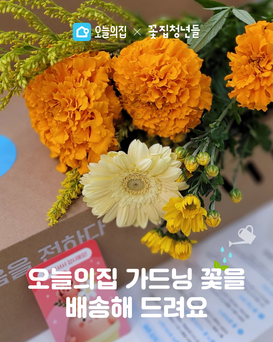 꽃집청년들 오늘의 집 B2B 전문 서비스