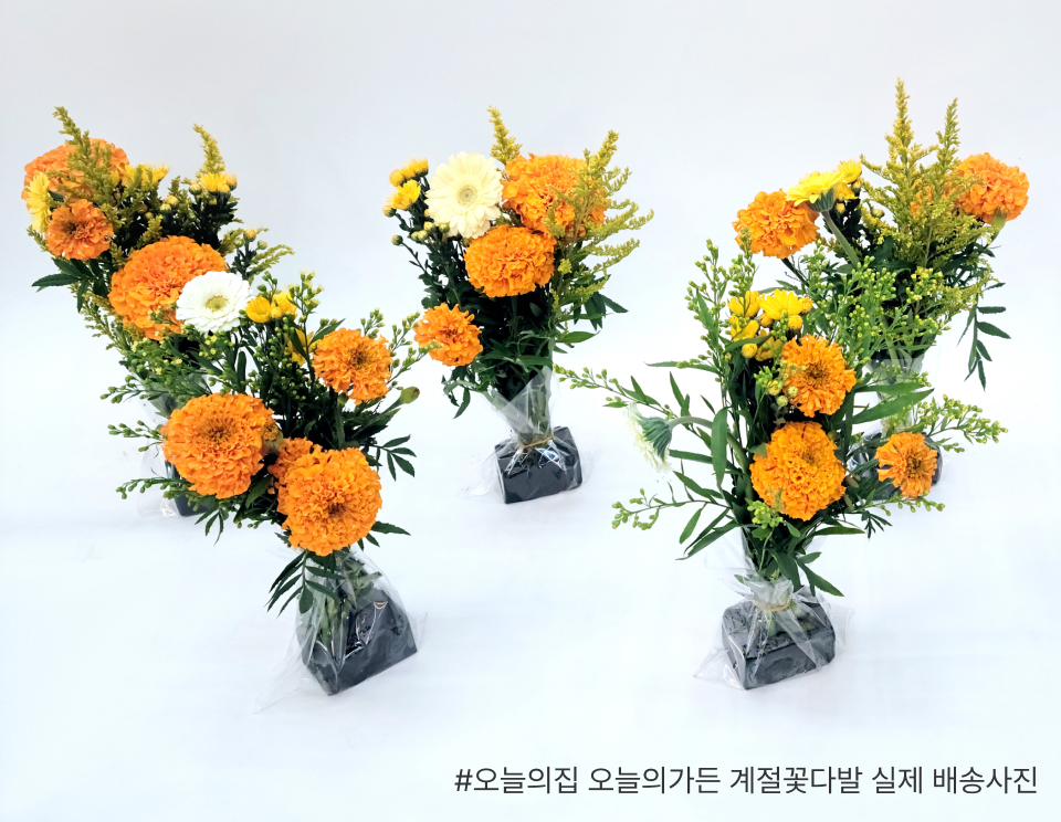 꽃집청년들 오늘의 집 오늘의 가든