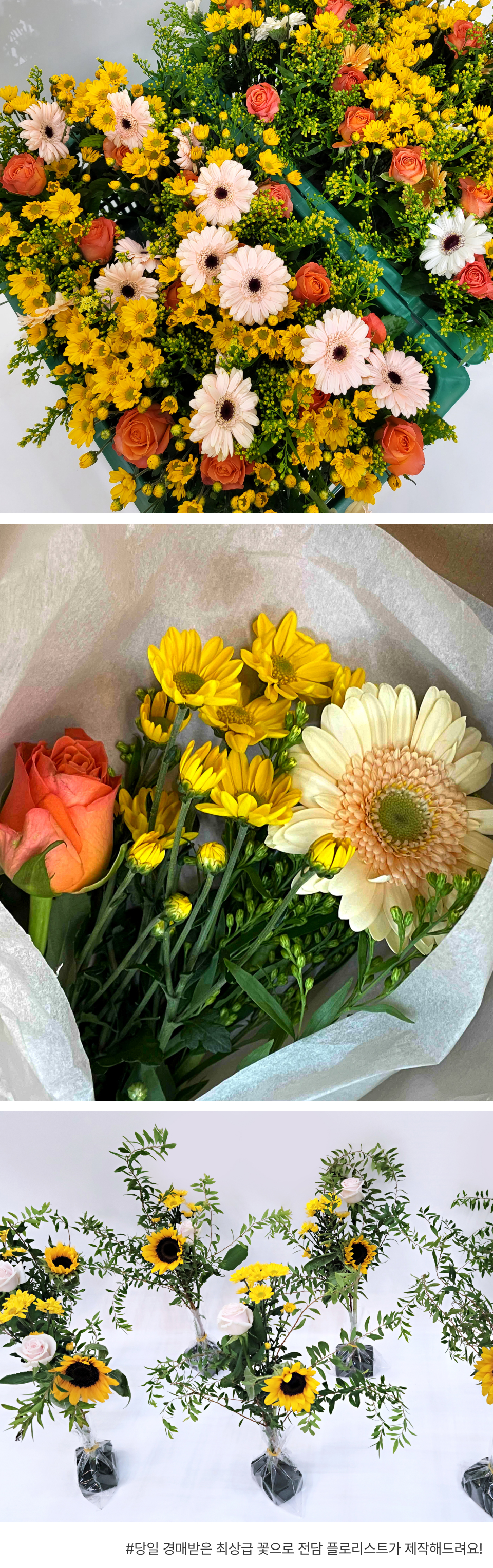 꽃집청년들 오늘의 집 오늘의 가든