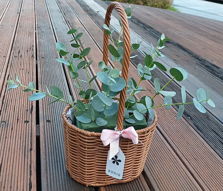 플로랄폼에 그린소재 유칼립투스 꽂아주세요