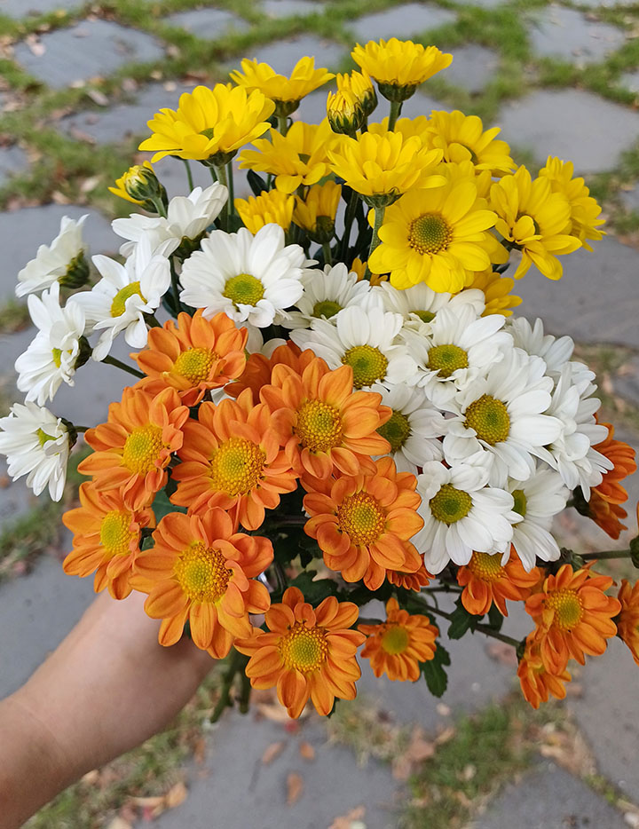 마지막으로 빈 공간에 그린소재, 유칼립투스를 꽂아 주세요