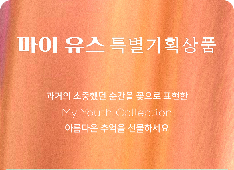 마이 유스 my youth