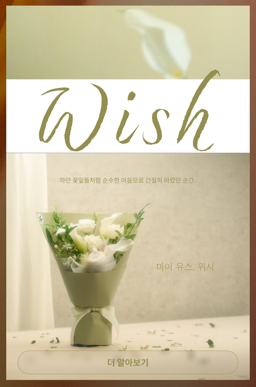 마이 유스, 위시