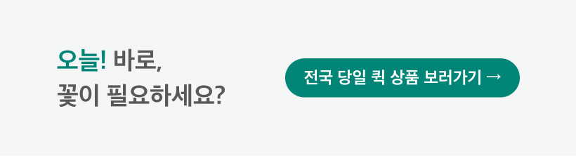 마이 유스 my youth