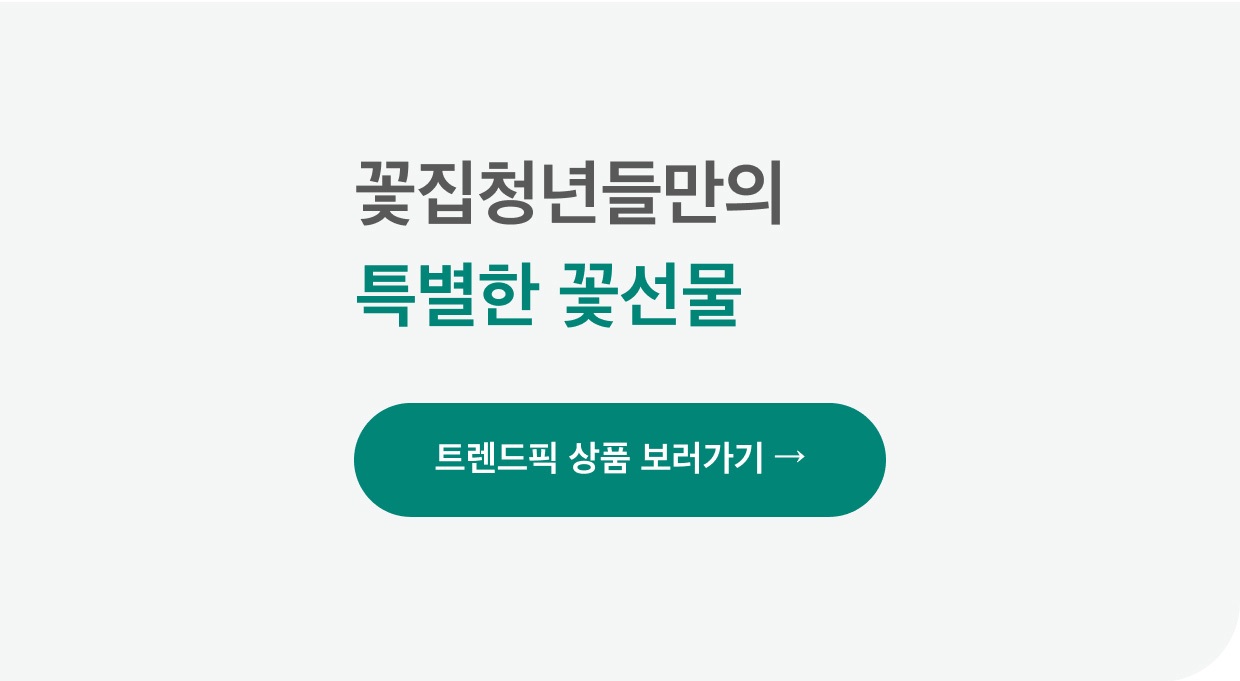 마이 유스 my youth